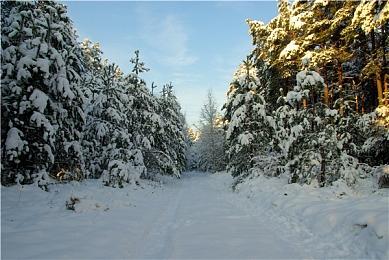 《死亡搁浅2》预载已开启 豪华版玩家提前48小时体验